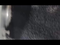 黒色乾燥剤 マスターバッチ 脱泡 マスターバッチ